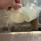 Small Clear Containers | 49 pieces